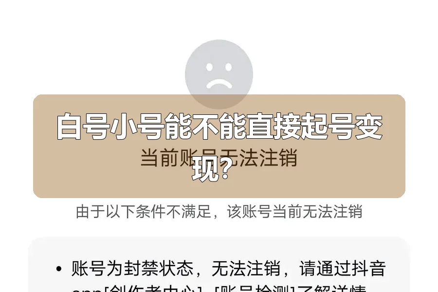 白号小号能不能直接起号变现？